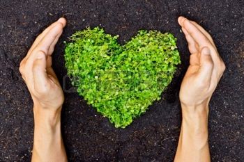 Dia Mundial Energía - 14 febrero